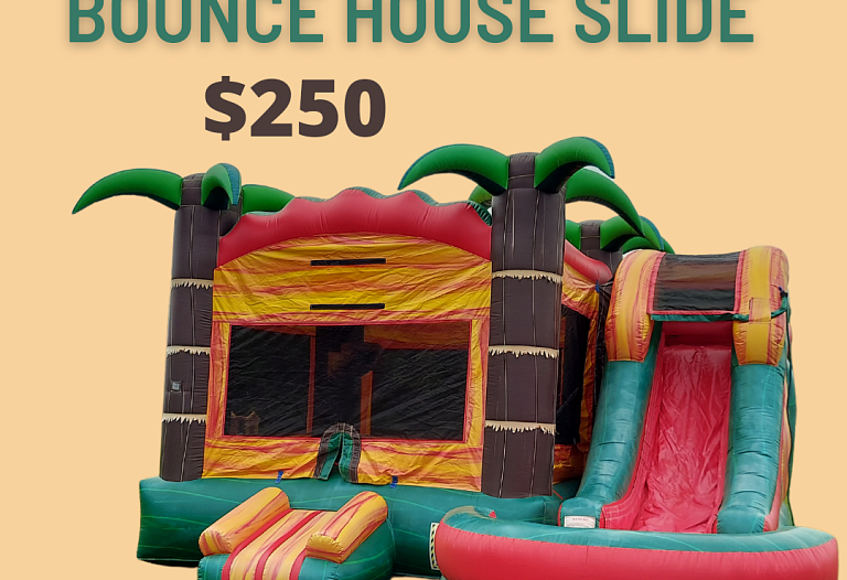 Single Lane Palm Tree Bounce House Slide